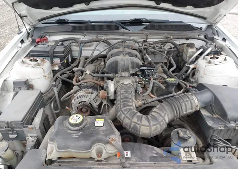 2009 Ford Mustang V6/V6 Premium z USA, uszkodzony, nr VIN 1ZVHT80N595126548